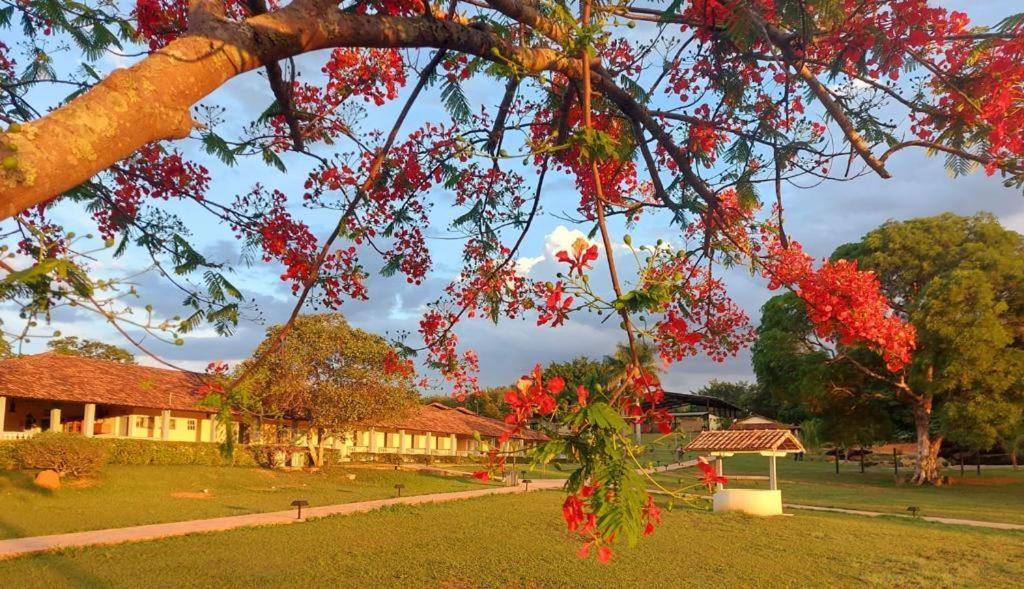 Sertao Veredas Hotel Fazenda Paraopeba Екстериор снимка